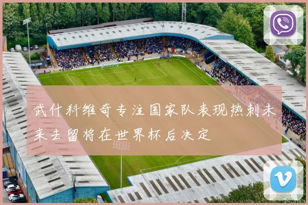 武什科维奇专注国家队表现热刺未来去留将在世界杯后决定
