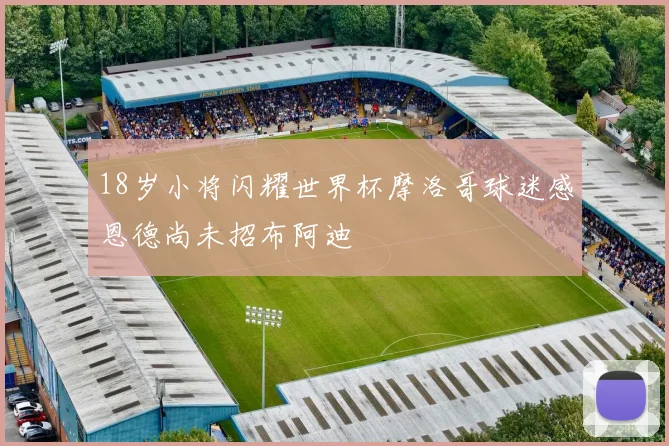 18岁小将闪耀世界杯摩洛哥球迷感恩德尚未招布阿迪